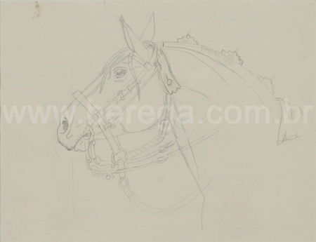 Desenho em grafite de cabeça de cavalo - não datado